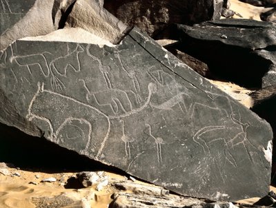 Prehistoria, sztuka naskalna: nagrobek przedstawiający lwy, antylopy, strusie i bydło. Epoka kamienia 5000-2000 p.n.e. Taghit, Haut plateau du Hoggar, Algieria autorstwa Prehistoric Prehistoric