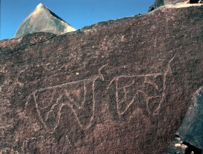 Prehistoria, sztuka naskalna: nagrobek przedstawiający bydło. Styl Taziny. Epoka kamienia 5000-2000 p.n.e. Taghit, Haut plateau du Hoggar (Ahaggar), Algieria autorstwa Prehistoric Prehistoric