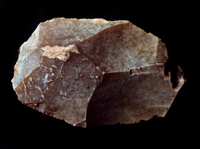 Prehistoria: wycięty na skrobaku kamiennym. Górny paleolit, Magdalena. Verone, Miejskie Muzeum Historii Naturalnej, Włochy autorstwa Prehistoric Prehistoric