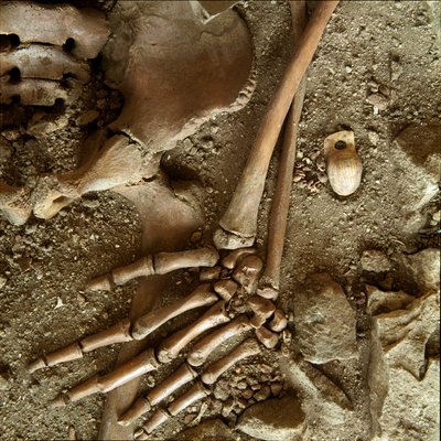 Prehistoria: nastoletni grób. Szczegółowy widok pogrzebowej trousseau z jaskini Candid Arene (Finale Ligure), Liguria. Górny paleolit, 24000 pne. Geny, museo di archeologia ligure autorstwa Prehistoric Prehistoric
