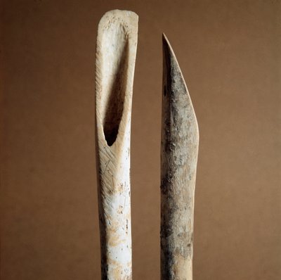 Prehistoria: narzędzia do usuwania kory z kości goleni kóz i owiec z Nekropoli Arene Candide (Finale Liguria), Liguria. Środkowy neolit, epoka kamienia. Geny, museo di archeologia ligure autorstwa Prehistoric Prehistoric