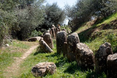 Stanowisko archeologiczne cromlecha M Zora w Sidi El Yamani (Maroko). Kopiec neolityczny (2000 pne), otoczony 167 monolitami. autorstwa Prehistoric Prehistoric