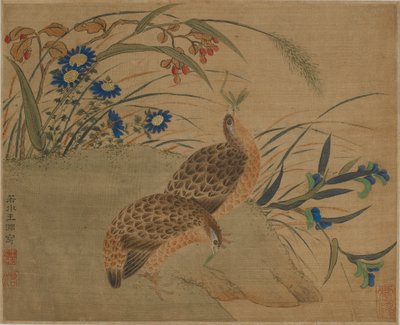 Dwie przepiórki jedzące koniki polne pod kwiatami autorstwa Qing Dynasty Chinese School