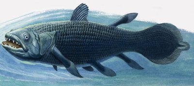 Coelacanth autorstwa R.B. Davis