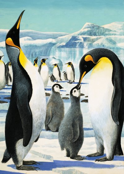 King Penguin autorstwa R.B. Davis