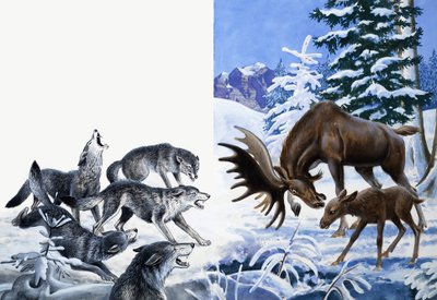 Królestwo Natury: Zjedli drogę do śmierci głodowej autorstwa R.B. Davis