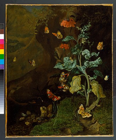 Martwa natura z kwiatami, motylami i jaszczurką w dolinie, przed 1750 autorstwa Rachel Ruysch