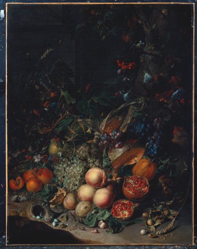 Brzoskwinie, winogrona, granaty, melony, kaczan kukurydzy, morele, śliwki, gruszki, żołędzie, 1718 autorstwa Rachel Ruysch