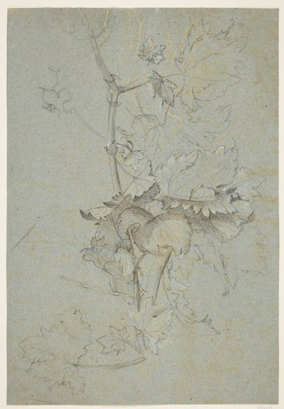 Badanie roślin autorstwa Rachel Ruysch