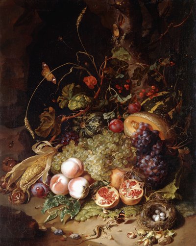 Martwa natura z owocami i owadami, autorstwa Rachel Ruysch