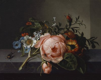 Martwa natura z gałązką róży, chrząszczem i pszczołą, 1741 (olej na płótnie osadzony na dębie) autorstwa Rachel Ruysch