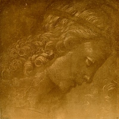 Studiuj na głowie anioła autorstwa Raffaellino del Garbo