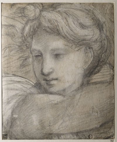 Głowa Anioła, ok. 1520 autorstwa Raffaello Sanzio Raphael