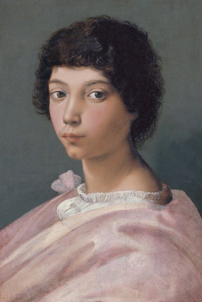 Portret młodego mężczyzny autorstwa Raffaello Sanzio Raphael