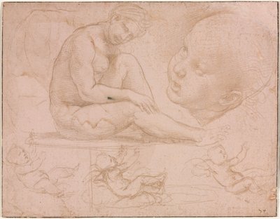 Studia siedzącej samicy, głowa dziecka i trzy studia dziecka, c. 1507-8. autorstwa Raffaello Sanzio Raphael