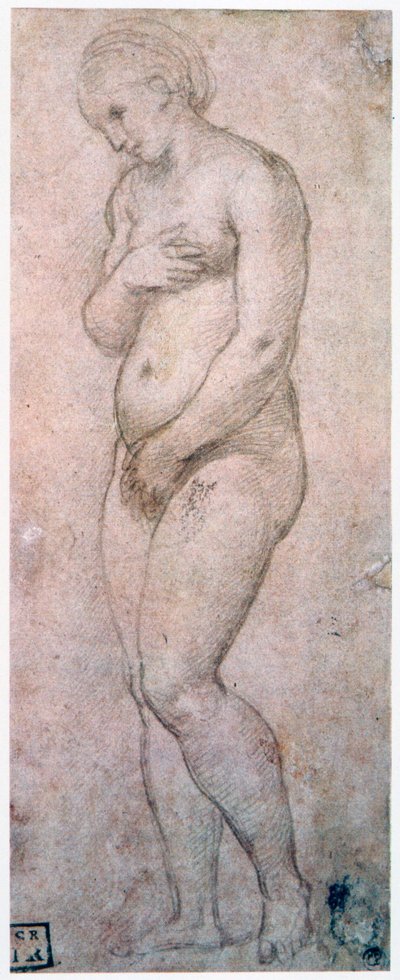 Studium Wenus, ok. 1500-1520 autorstwa Raffaello Sanzio Raphael