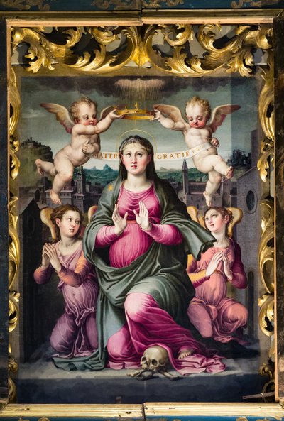 Madonna delle Grazie (olej na panelu) autorstwa Raffaello dal Colle