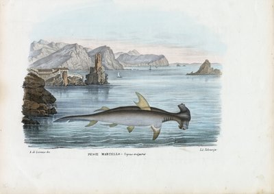 Młot, 1863-79 autorstwa Raimundo Petraroja