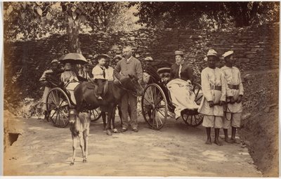 Pułkownik F. G. Oldham, Śimla autorstwa Raja Deen Dayal