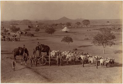 Ciężka bateria polowa, Jhansi autorstwa Raja Deen Dayal
