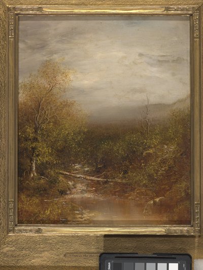 Pool In The Adirondacks (olej na płótnie) autorstwa Ralph Albert Blakelock