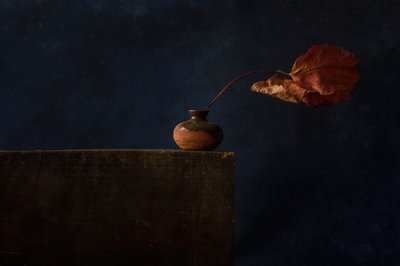  autorstwa Ramiz Sahin