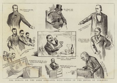 Debata w sprawie ustawy o broni (Irlandia), uwagi w Izbie Gmin autorstwa Randolph Caldecott