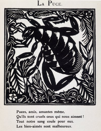 La puce - w "Le Bestiaire ou cortege d