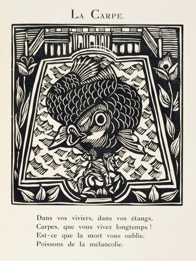 Karp, ilustracja z "Bestiarium lub procesji Orfeusza autorstwa Raoul Dufy