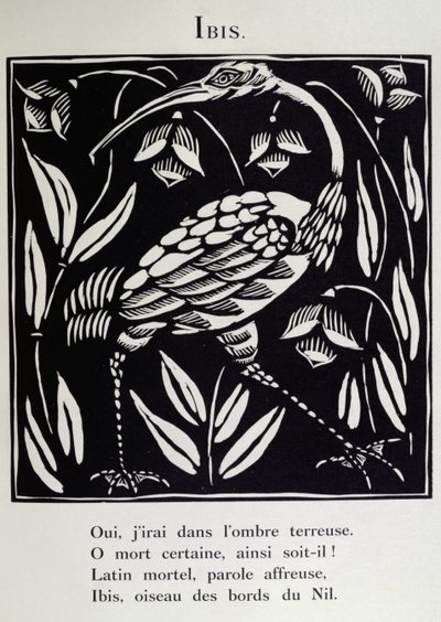 Ibis, ilustracja z "Bestiarium" lub "Procesji Orfeusza" Guillaume