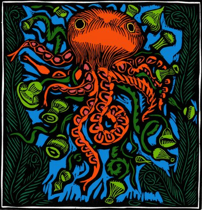 Zoologia / Życie morskie / Ośmiornica autorstwa Raoul Dufy