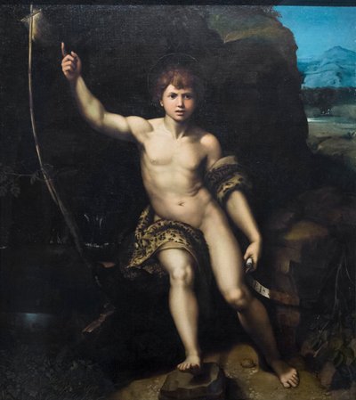 św Jana Chrzciciela autorstwa Raphael (1483-1520) (& studio)