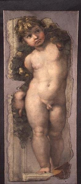 Putto z girlandą (fragment fresku) autorstwa Raphael
