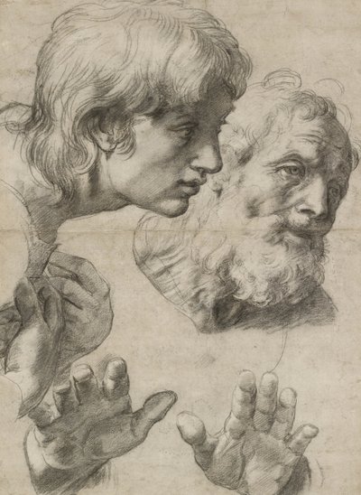 Studium głów dwóch apostołów i ich rąk (czarna kreda zetknięta z bielą na szarym papierze) autorstwa Raphael