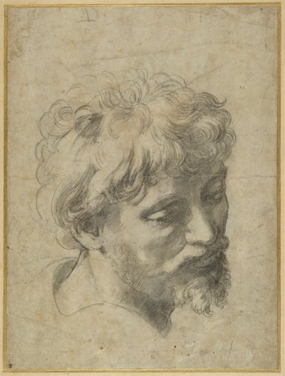 Studium dla ucznia po lewej stronie „Przemienienia Pańskiego” (czarna kreda na szarym papierze) autorstwa Raphael