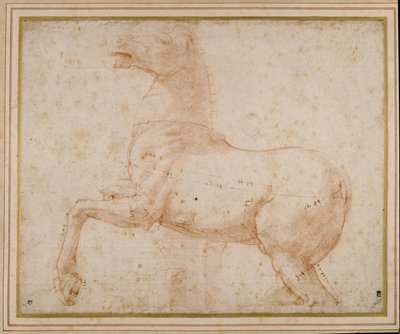 Studium konia (pióro i atrament i ołówek na papierze) autorstwa Raphael