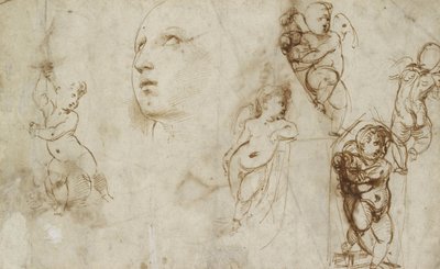 Różne badania, głównie dla Borghese-Beckford St Catherine (Pen and Brown Ink na białym papierze) autorstwa Raphael