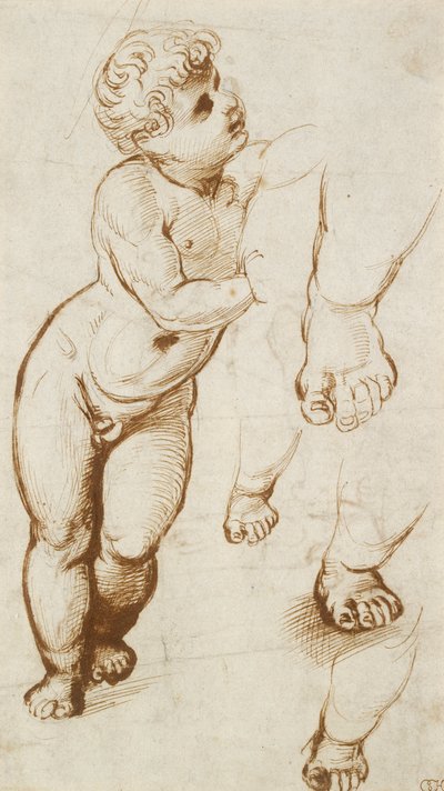 Recto: Dzieciątko Chrystus i inne studia, 1500-1520 autorstwa Raphael