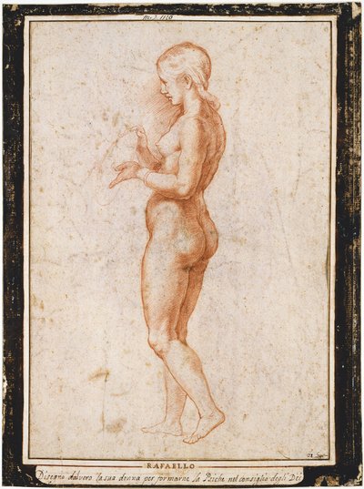 Młoda postać kobieca z profilu, ok. 1517 r. autorstwa Raphael