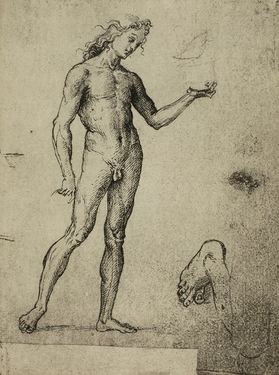 Męskie studium nagości; rysunek Rafaela. Gallerie dellAccademia, Wenecja autorstwa Raffaello Sanzio Raphael