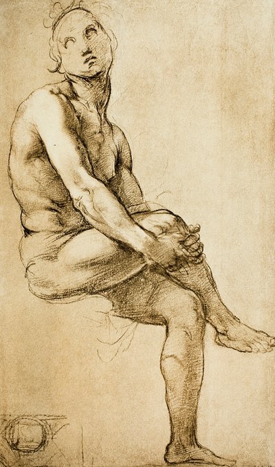 Studium postaci ludzkiej, rysunek Rafaela, Gabinet Rysunków i Druków, Galeria Uffizi, Florencja autorstwa Raffaello Sanzio Raphael