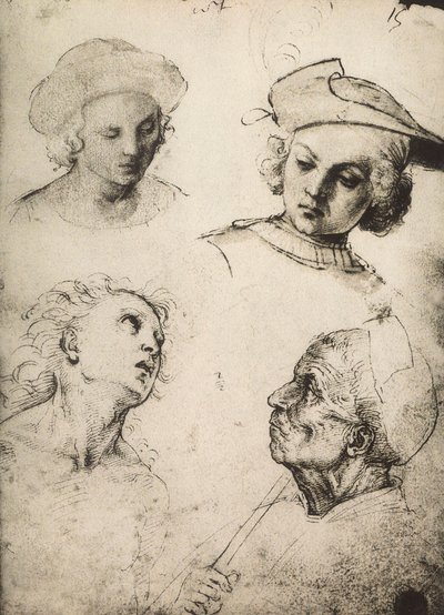 Badanie czterech męskich twarzy; rysunek Rafaela. Gallerie dellAccademia, Wenecja autorstwa Raffaello Sanzio Raphael