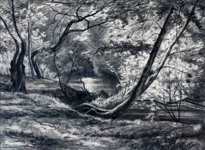  autorstwa Raymond Bonnefon