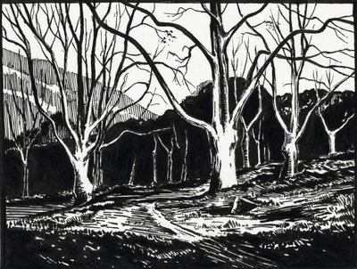  autorstwa Raymond Bonnefon