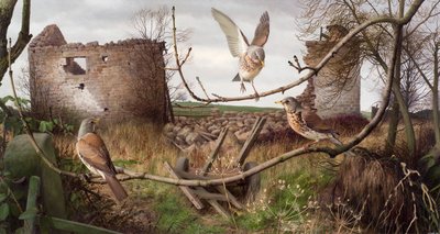 Fieldfares w Eccup, West Yorkshire autorstwa Raymond Booth