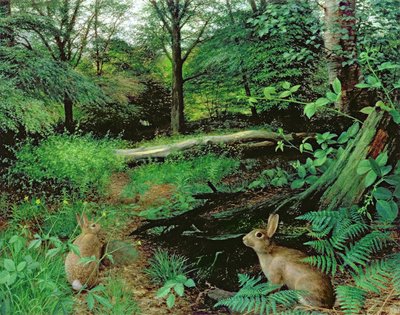 W lesie - wieczór świętojański (olej na płycie) autorstwa Raymond Booth