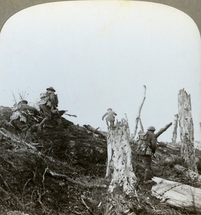 Atak w Trones Wood, Somma, Francja, I wojna światowa, 1916 autorstwa Realistic Travels Publishers