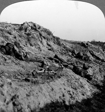Martwi żołnierze, Vimy Ridge, Francja, I wojna światowa, 1914-1918 autorstwa Realistic Travels Publishers