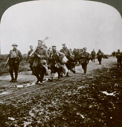 Prusacy schwytani przez Old Contempibles w ataku na Pozieres, I wojna światowa, 1914-1918. autorstwa Realistic Travels Publishers