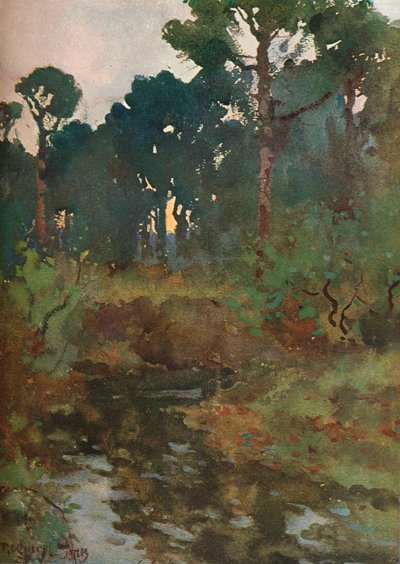 Dekoracyjny Studium Krajobrazu, ok. 1903 1903-1904 autorstwa Reginald Jones
